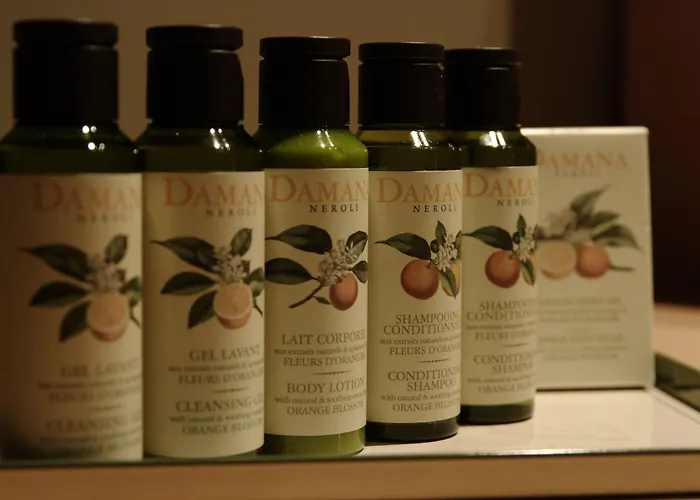 Maison Des Ambassadeurs 5*