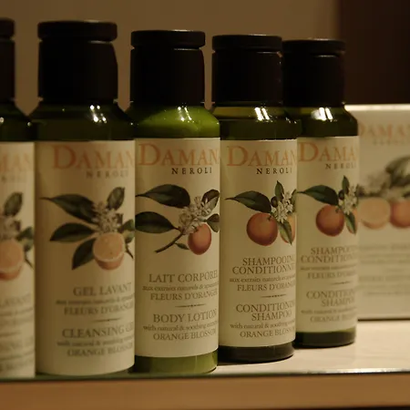 Maison Des Ambassadeurs 5*