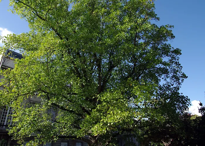 Maison Des Ambassadeurs 5* 拉罗歇尔